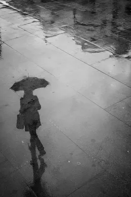 Umbrella Reflection in Rainy Street Puddle