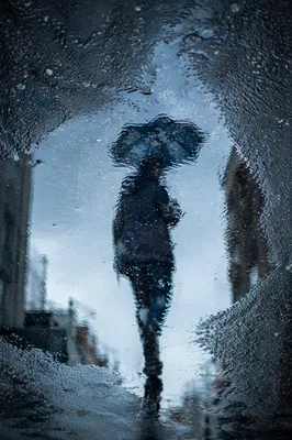 Umbrella Reflection in Rainy City Puddle