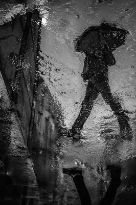 Umbrella Reflection in Rainy City Puddle