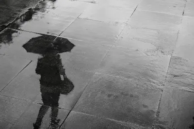 Rainy Street Puddle Reflection with Umbrella