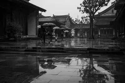 Quiet Umbrella Walk in Rainy Courtyard