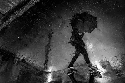 Umbrella Reflection in Rainy Night Puddle