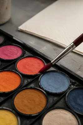 Watercolor Palette and Brush on Studio Table