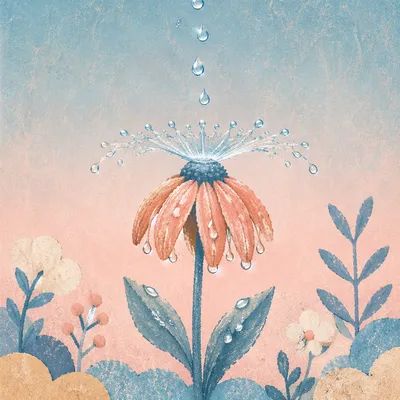 Wilted Flower Reviving in Gentle Water Drops