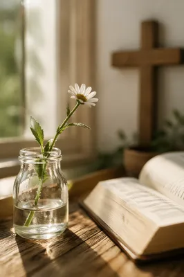 Wilted Wildflower Reviving in Morning Light