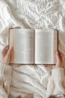 Cozy Morning Bible Quiet Time
