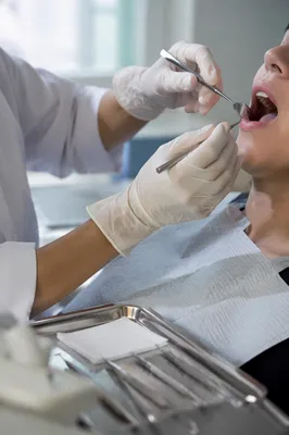 Calm Dental Health Examination Close Up