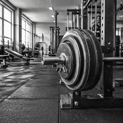 Monochrome Rehabilitation Gym Weight Training Station