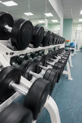 Dumbbell Rows in Modern Rehabilitation Gym