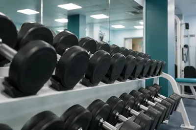 Clinical Gym Dumbbells in Modern Rehab Center