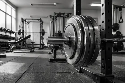 Monochrome Rehabilitation Gym Weight Training Station