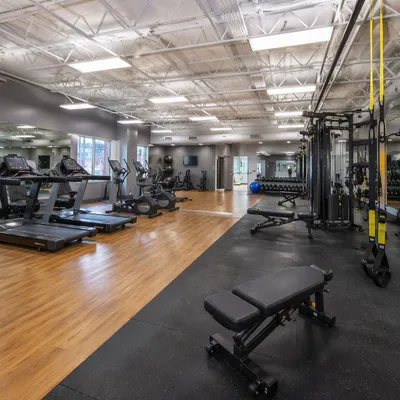 Modern Medical Fitness Rehabilitation Gym