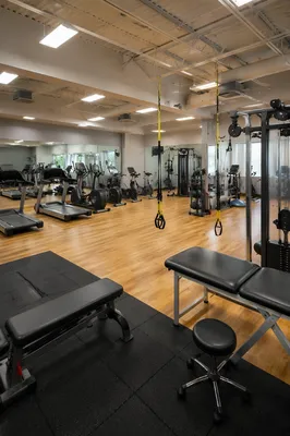 Modern Rehabilitation Gym with Training Equipment