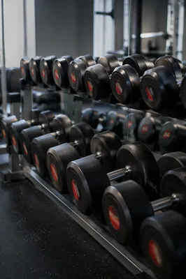 Rehabilitation Gym Dumbbells in Clinical Focus