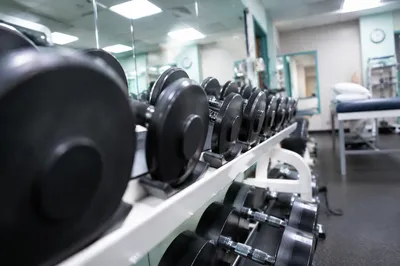 Modern Rehabilitation Gym Dumbbell Rack