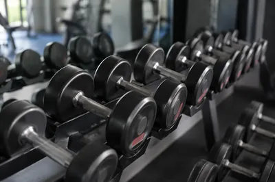 Rehabilitation Gym Dumbbells in Clinical Focus