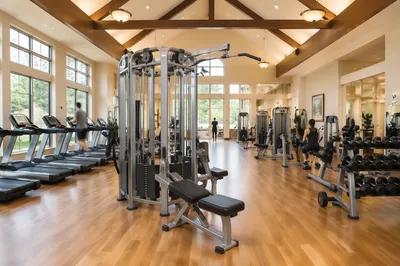 Clean Rehabilitation Gym for Strength Training