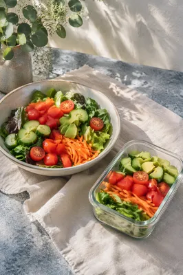 Fresh Vegetable Salad for Medical Nutrition