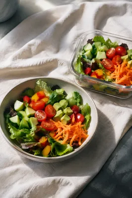 Fresh Vegetable Salad for Medical Nutrition