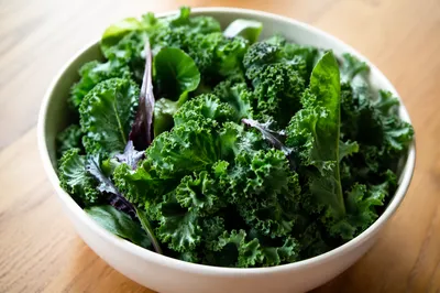 Fresh Kale Salad Bowl for Wellness