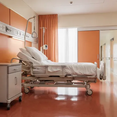 Clean Quiet Hospital Patient Room Interior
