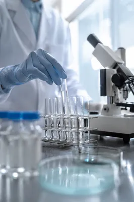 Gloved Hands Arranging Test Tubes in Laboratory