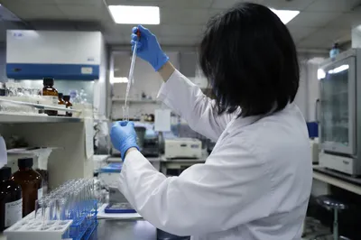 Laboratory Technician Pipetting Clinical Research Sample