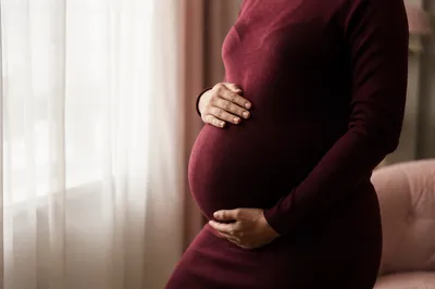 Tender Maternity Belly in Burgundy Dress