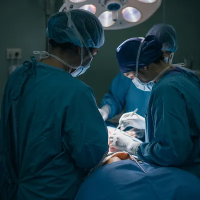 Focused Surgical Team in Operating Room