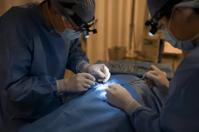 Medical Team Performing Sterile Operating Room Procedure