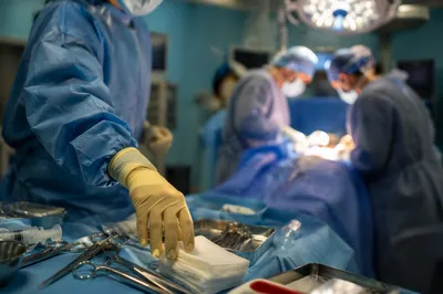 Focused Surgical Team in Modern Operating Room