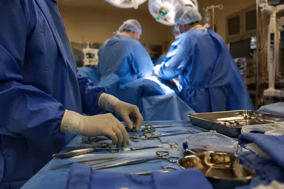 Focused Surgical Team in Operating Room