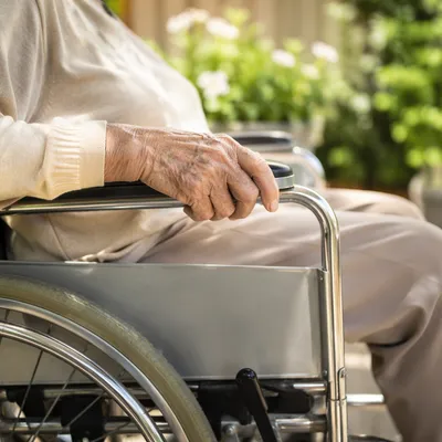 Elderly Wheelchair Hand in Sunny Garden
