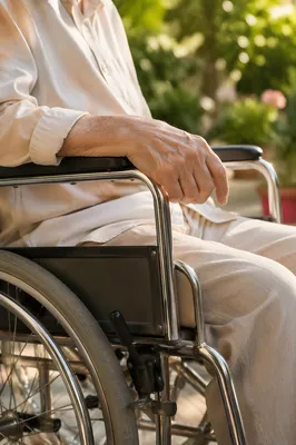 Elderly Wheelchair Hand in Sunny Garden