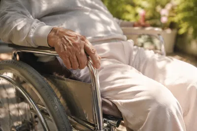 Elderly Wheelchair Care in Sunny Garden