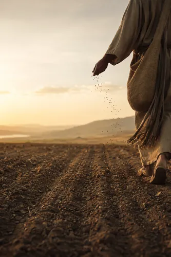 Parables Background 2