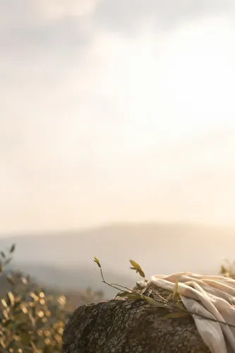 Bokeh Background 8