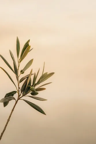 Botanical Background 1