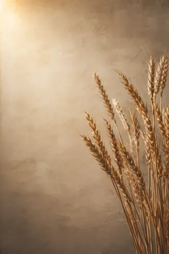 Botanical Background 5