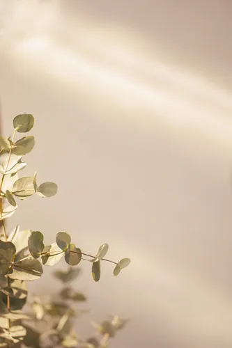 Botanical Background 8