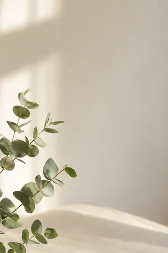 Botanical Background 9