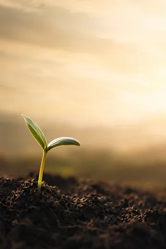 Perseverance Background 4