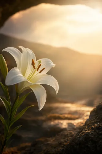 Purity Background 2