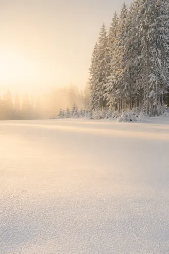 Purity Background 6