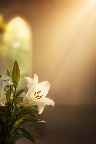 Easter Background 14