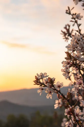 Easter Background 17