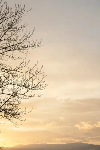 Grief Background 6