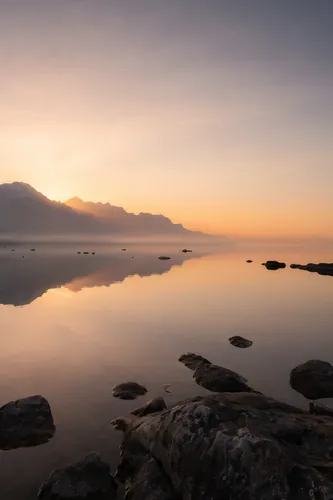 Peace Background 1