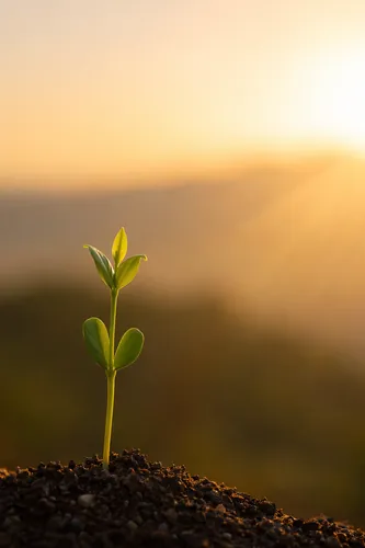 Hope Background 4