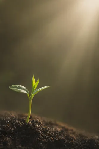 Hope Background 5